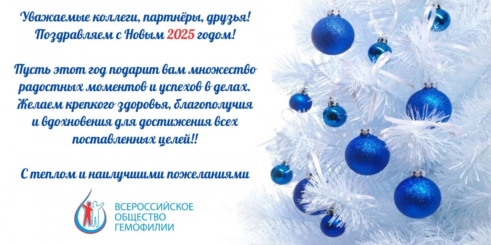 С Новым 2025 годом!